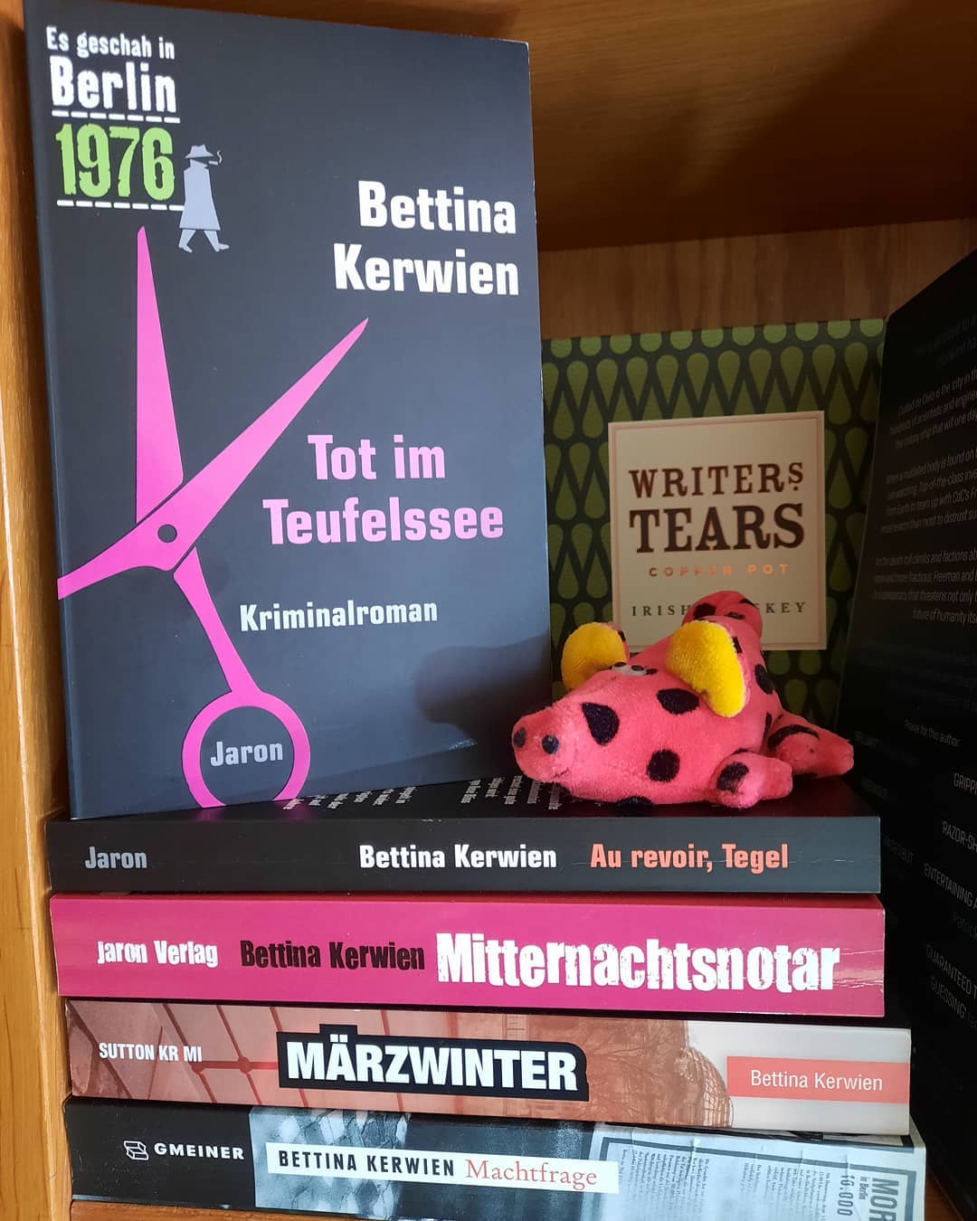 Bettina Kerwien: Tot im Teufelssee