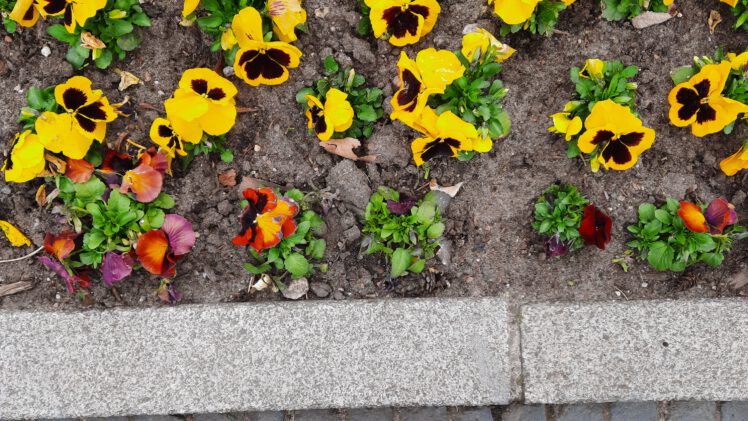 Monatsrückblick April: Erneuerung